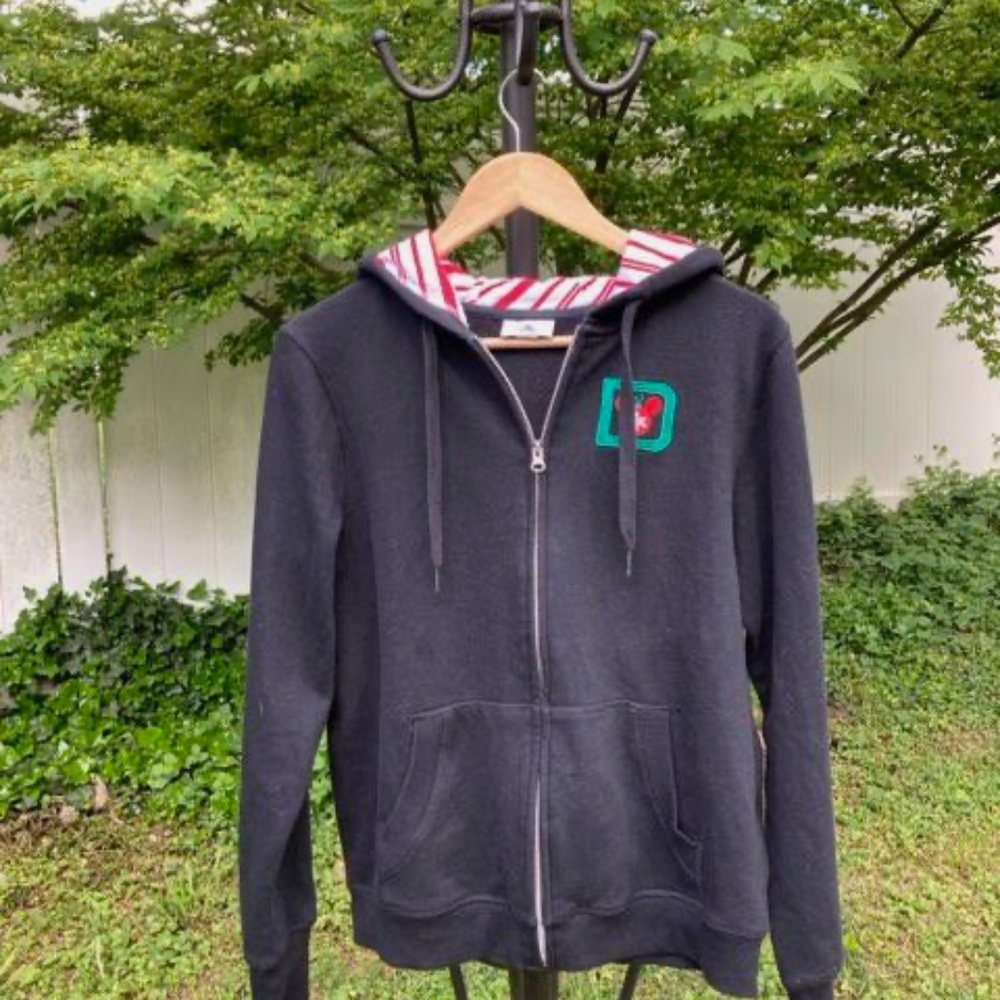 Disney Holiday Hoodie